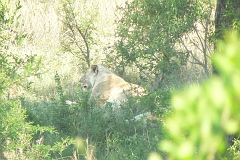 0241-Reis Zuid-Afrika2007